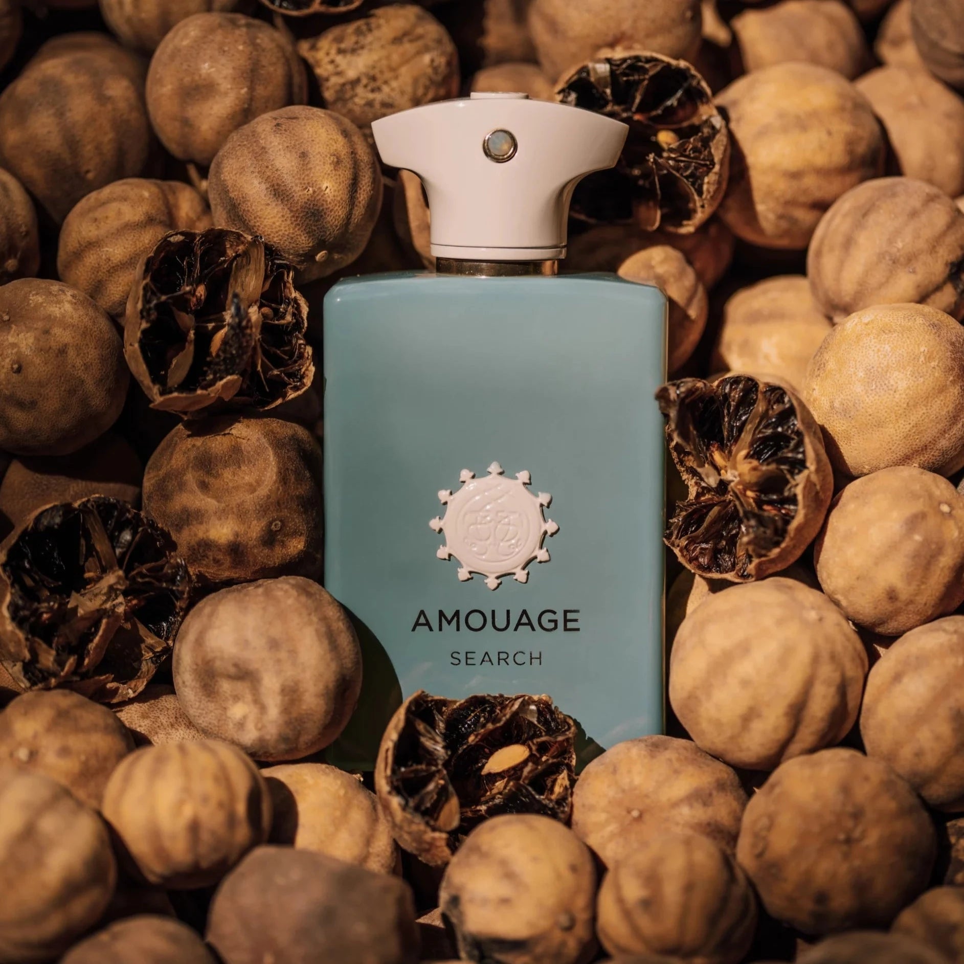 Amouage Search EDP | My Perfume Shop