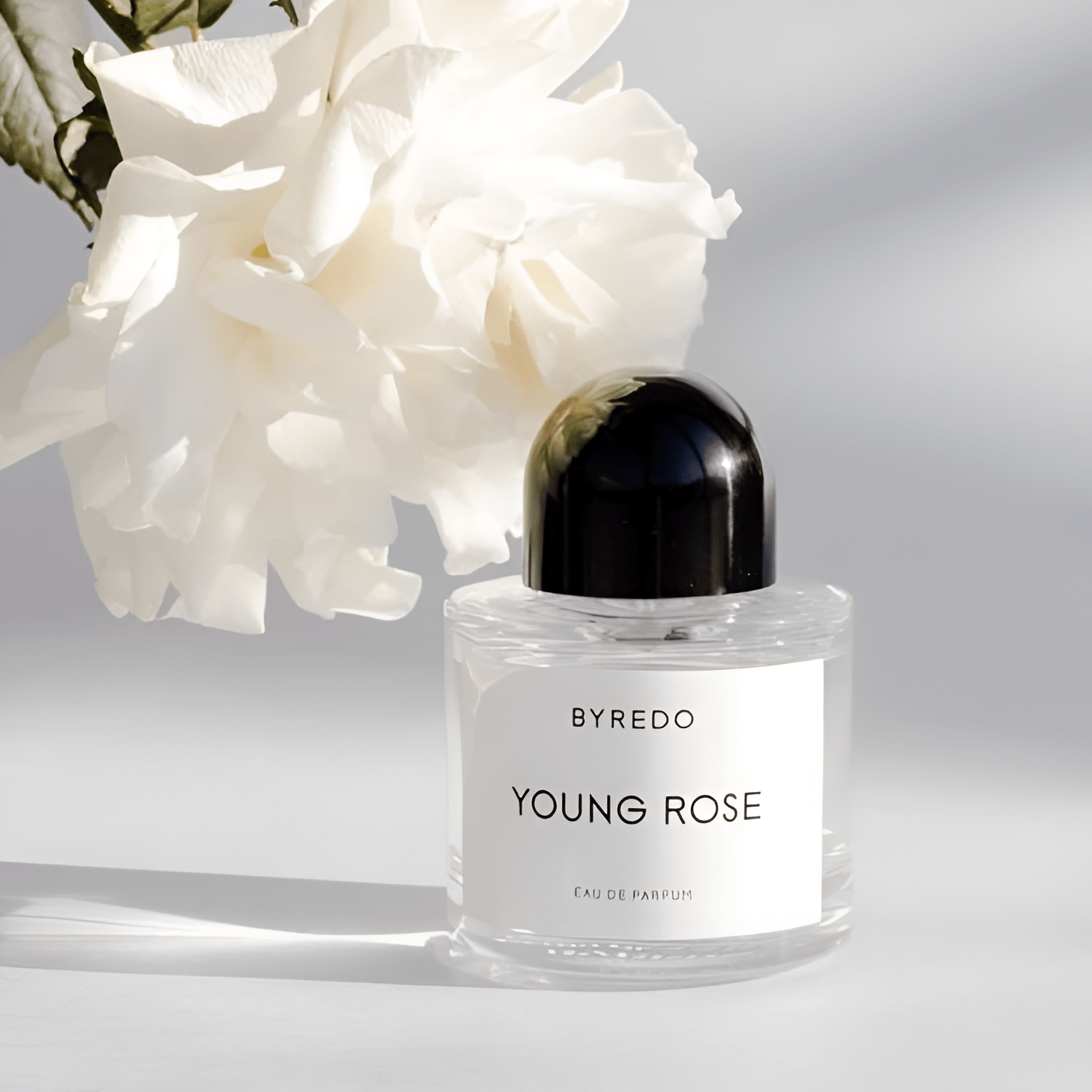 Byredo Young Rose EDP | My Perfume Shop