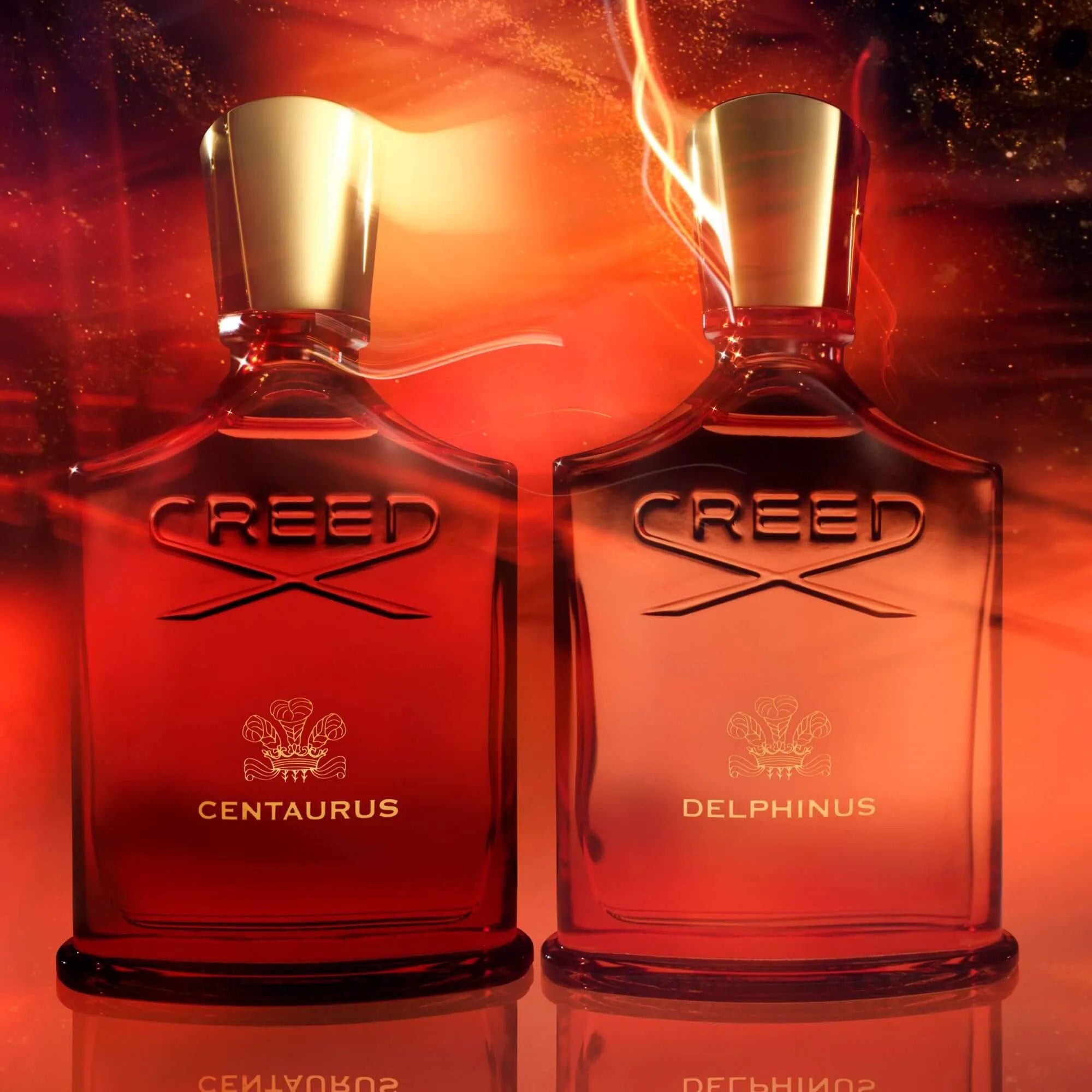 Creed Delphinus EDP | My Perfume Shop