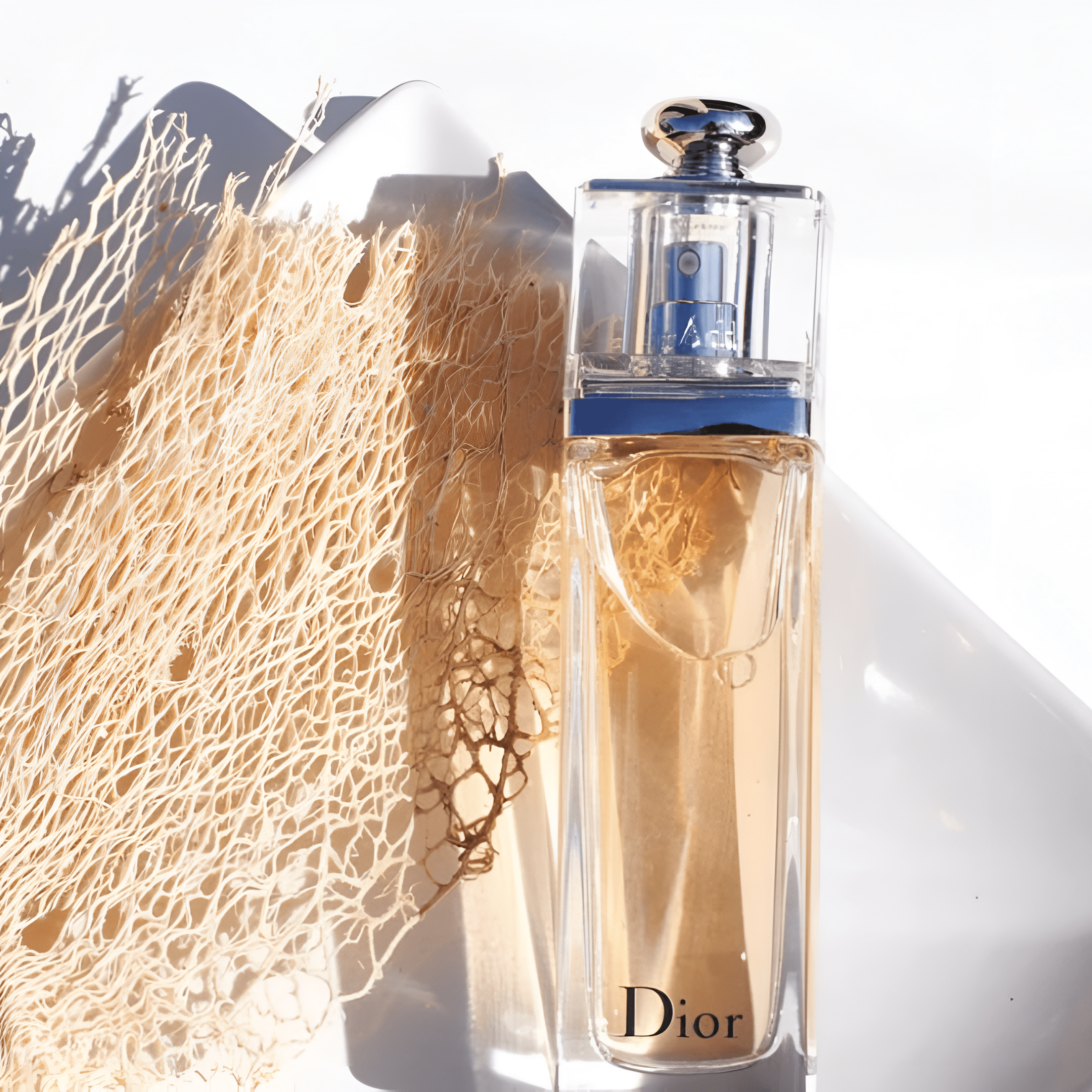 Dior Addict EDT For Women | My Perfume Shop