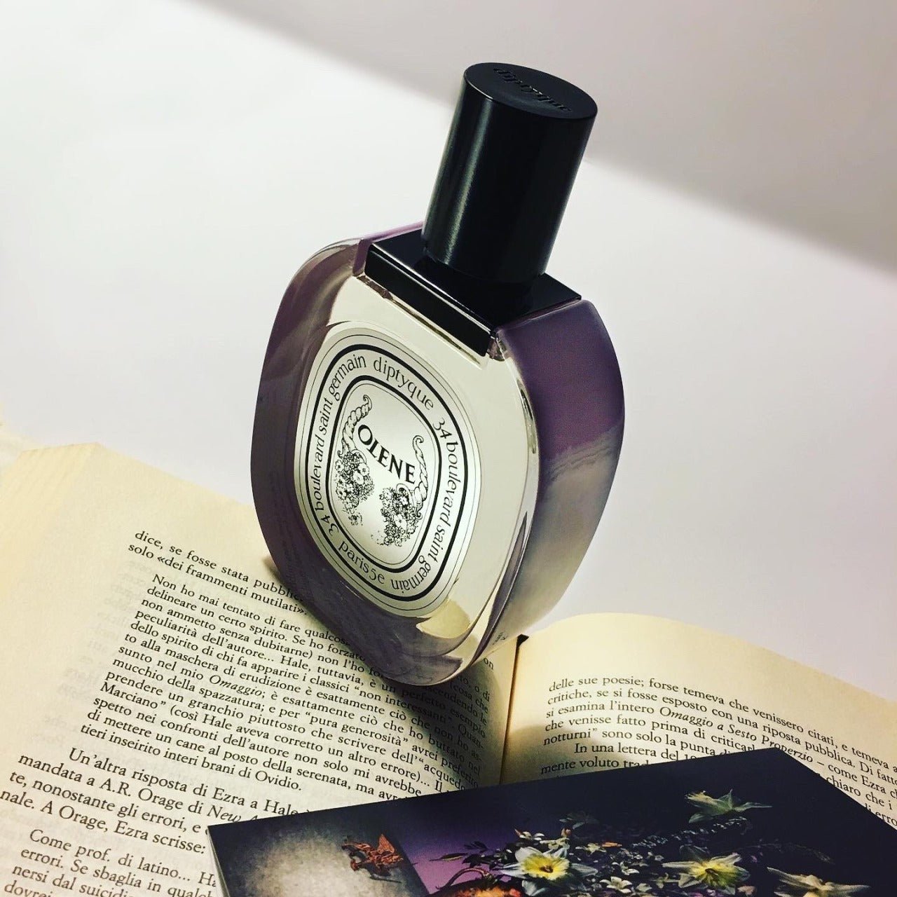 Diptyque Olene EDT | My Perfume Shop