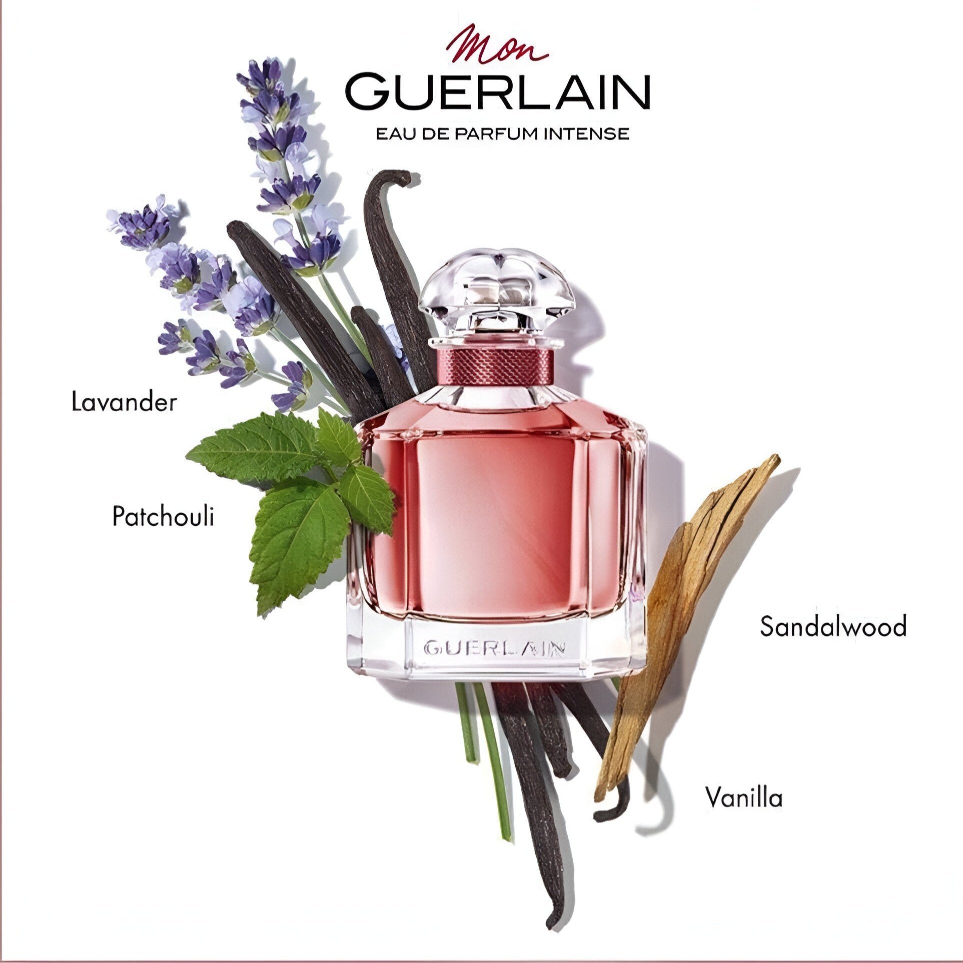 Guerlain Mon EDP Intense | My Perfume Shop