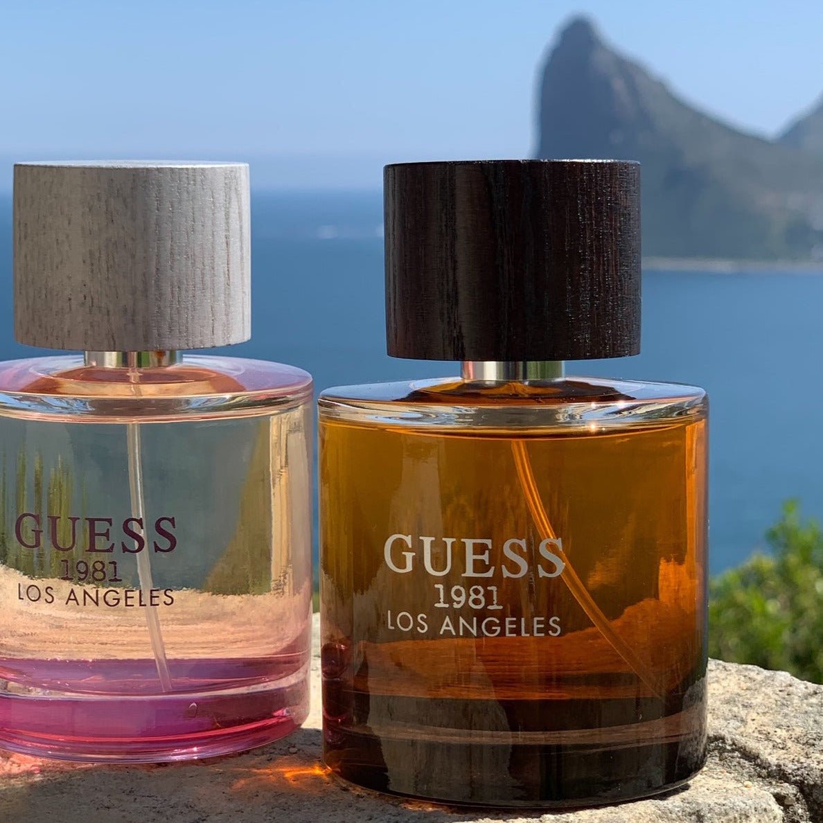 Guess 1981 Los Angeles EDT For Men | My Perfume Shop