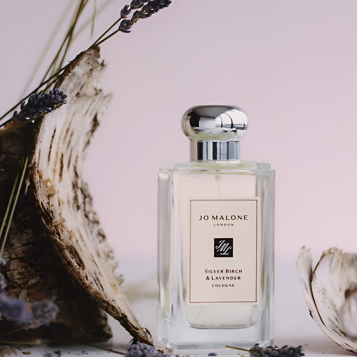 Jo Malone Silver Birch & Lavender Cologne | My Perfume Shop