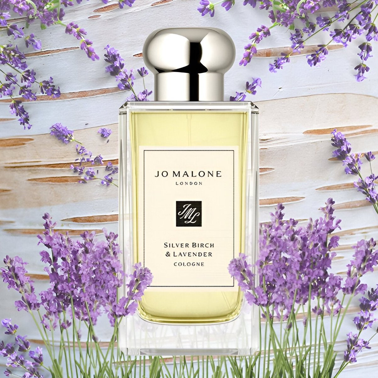 Jo Malone Silver Birch & Lavender Cologne | My Perfume Shop