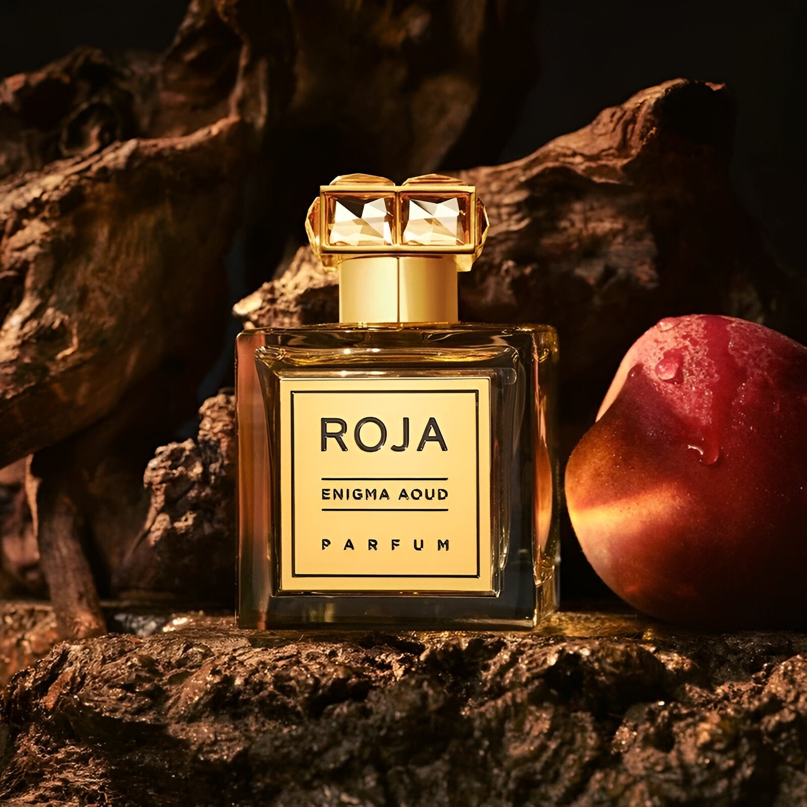 Roja Parfums Enigma Aoud Pour Femme Parfum | My Perfume Shop