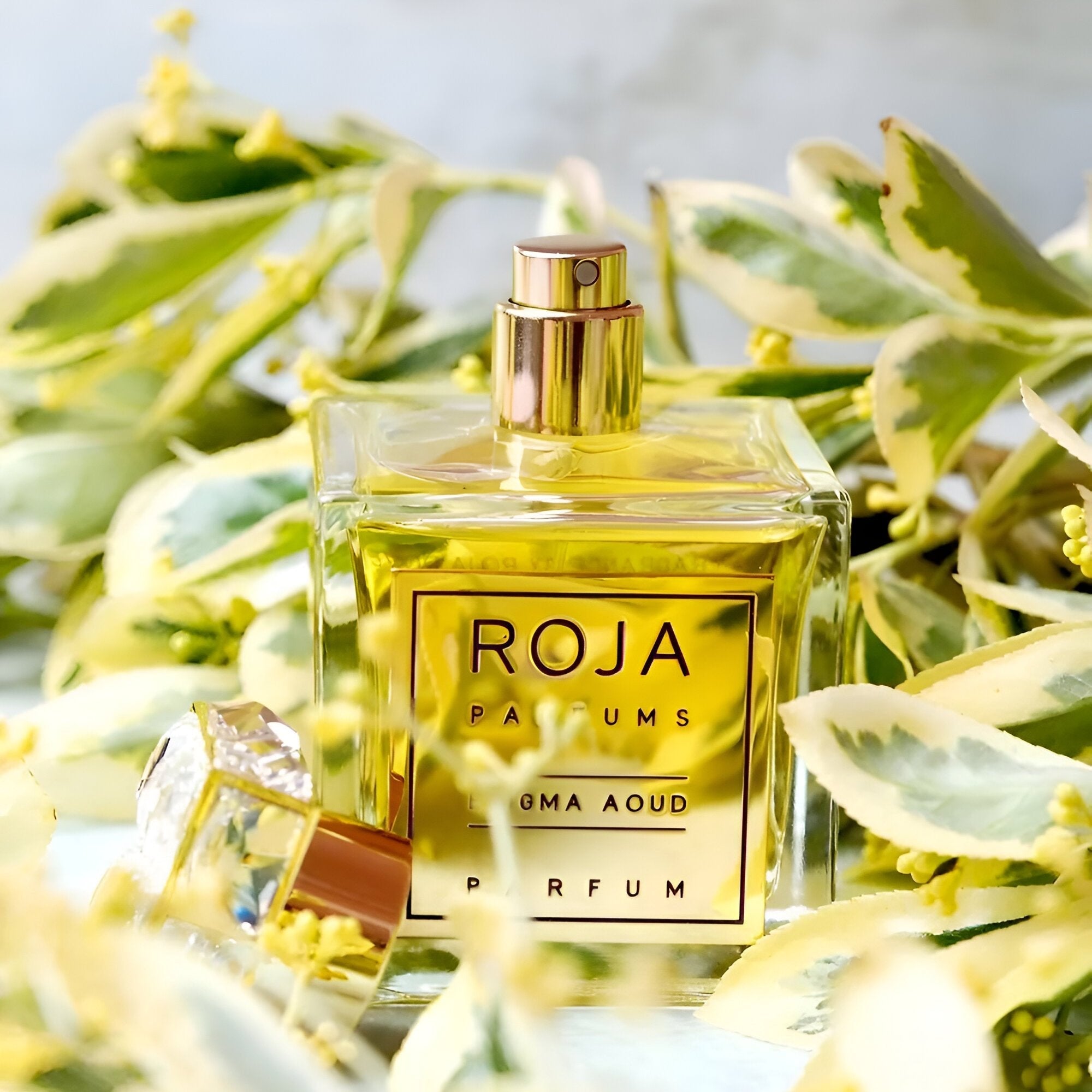 Roja Parfums Enigma Aoud Pour Femme Parfum | My Perfume Shop