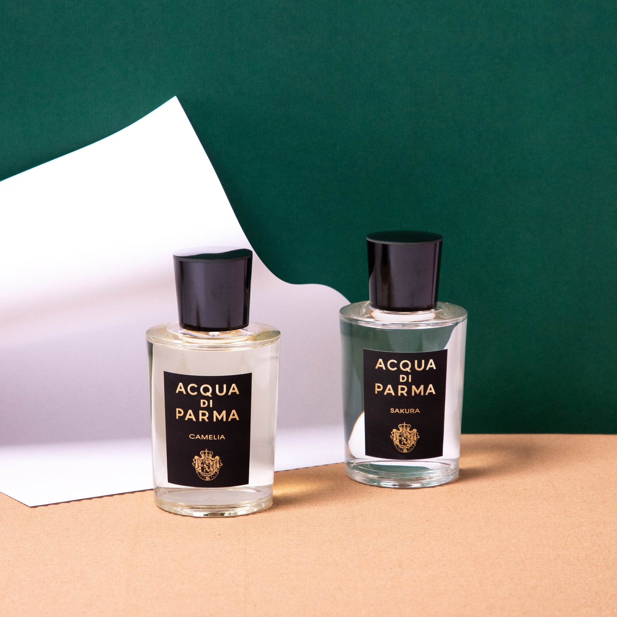 Acqua Di Parma Camelia EDP | My Perfume Shop