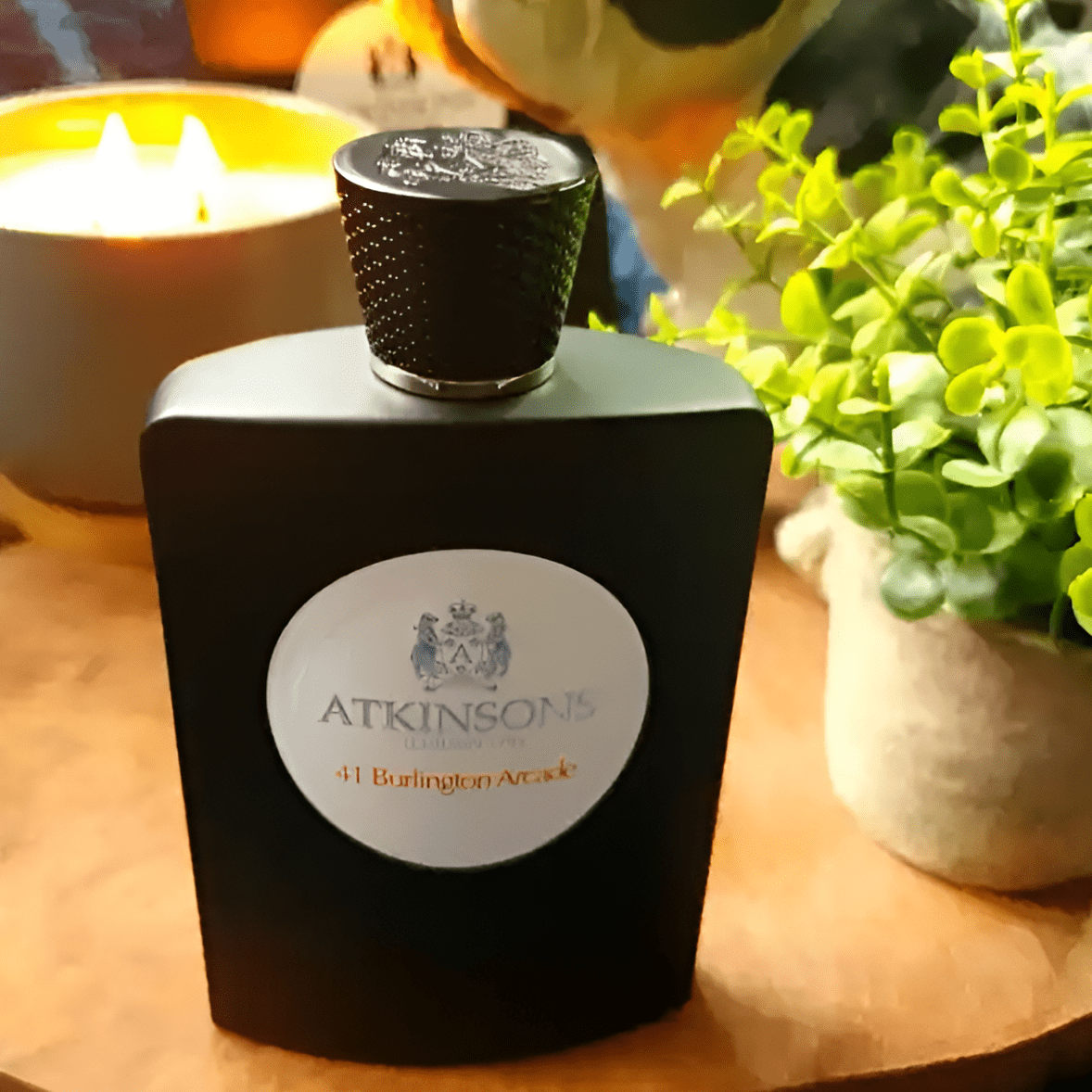 Atkinsons 41 Burlington Arcade EDP | My Perfume Shop