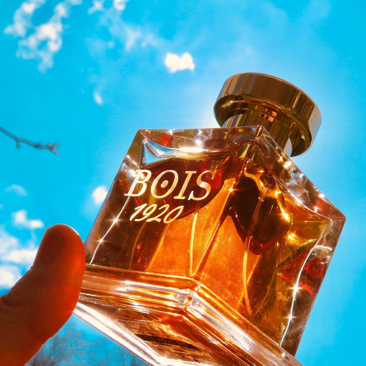 Bois 1920 Elite Iii | My Perfume Shop