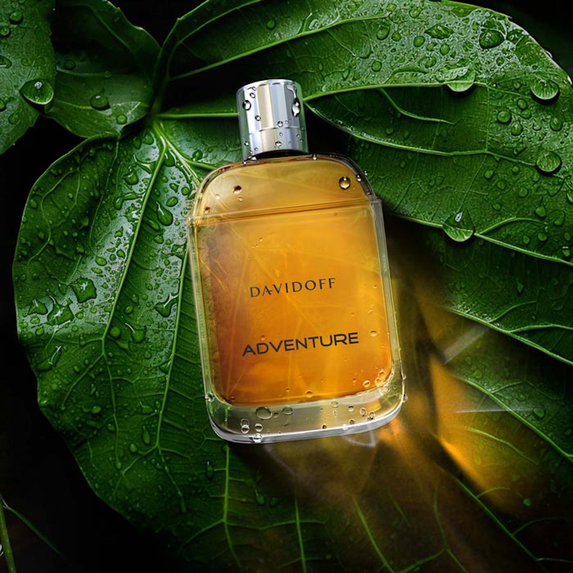 Davidoff Adventure EDT For Men | My Perfume Shop