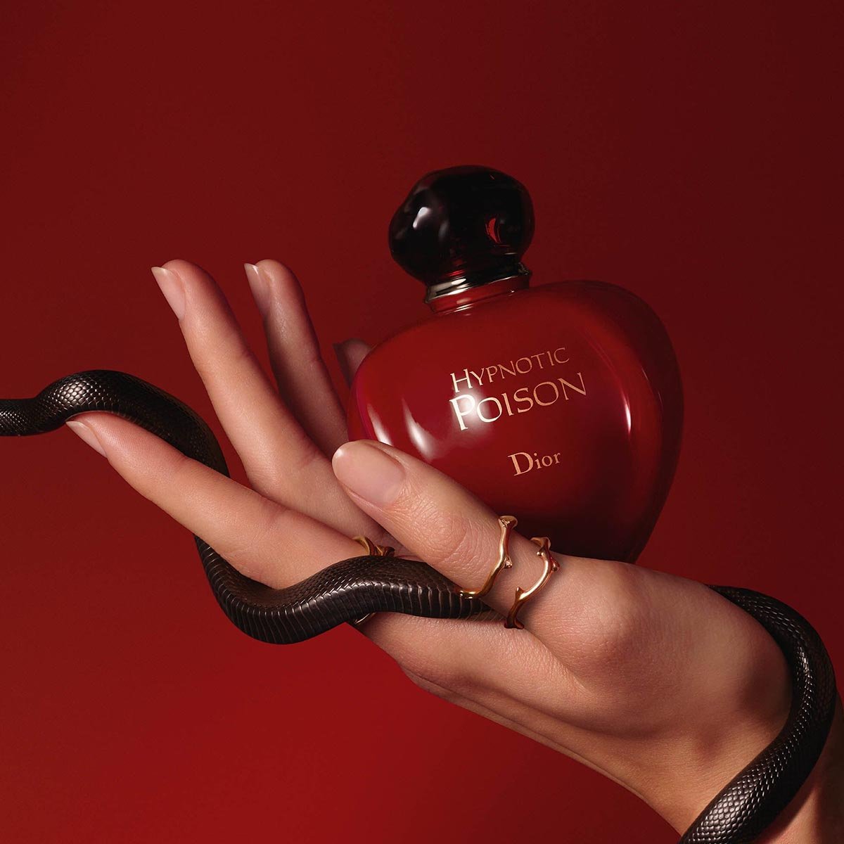 Dior Hypnotic Poison EDP | My Perfume Shop