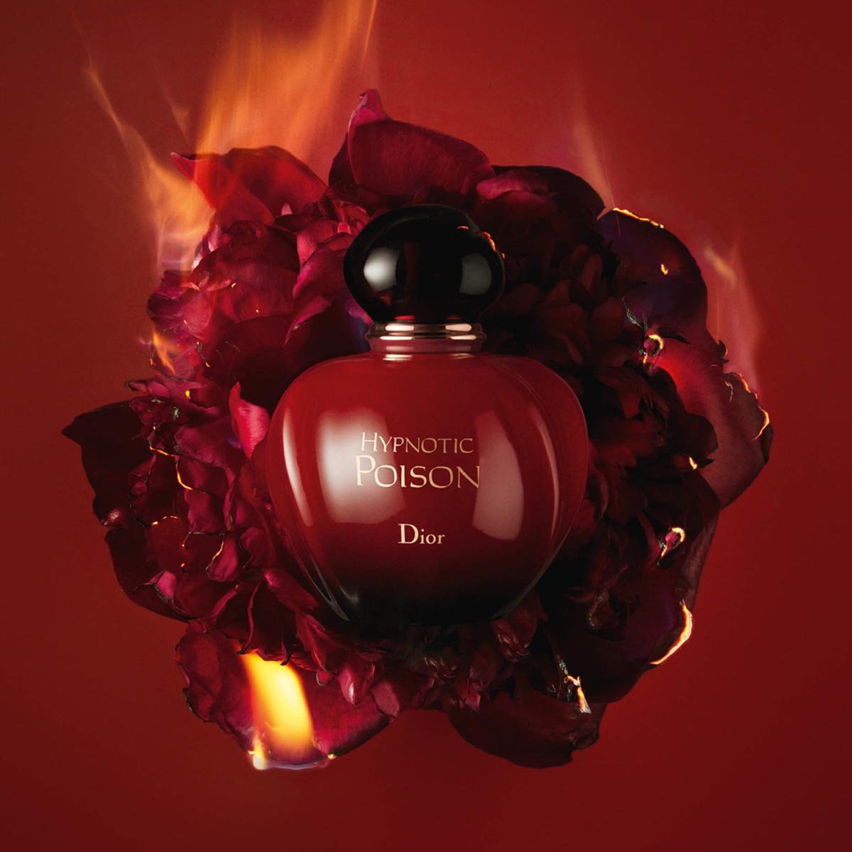 Dior Hypnotic Poison EDP | My Perfume Shop