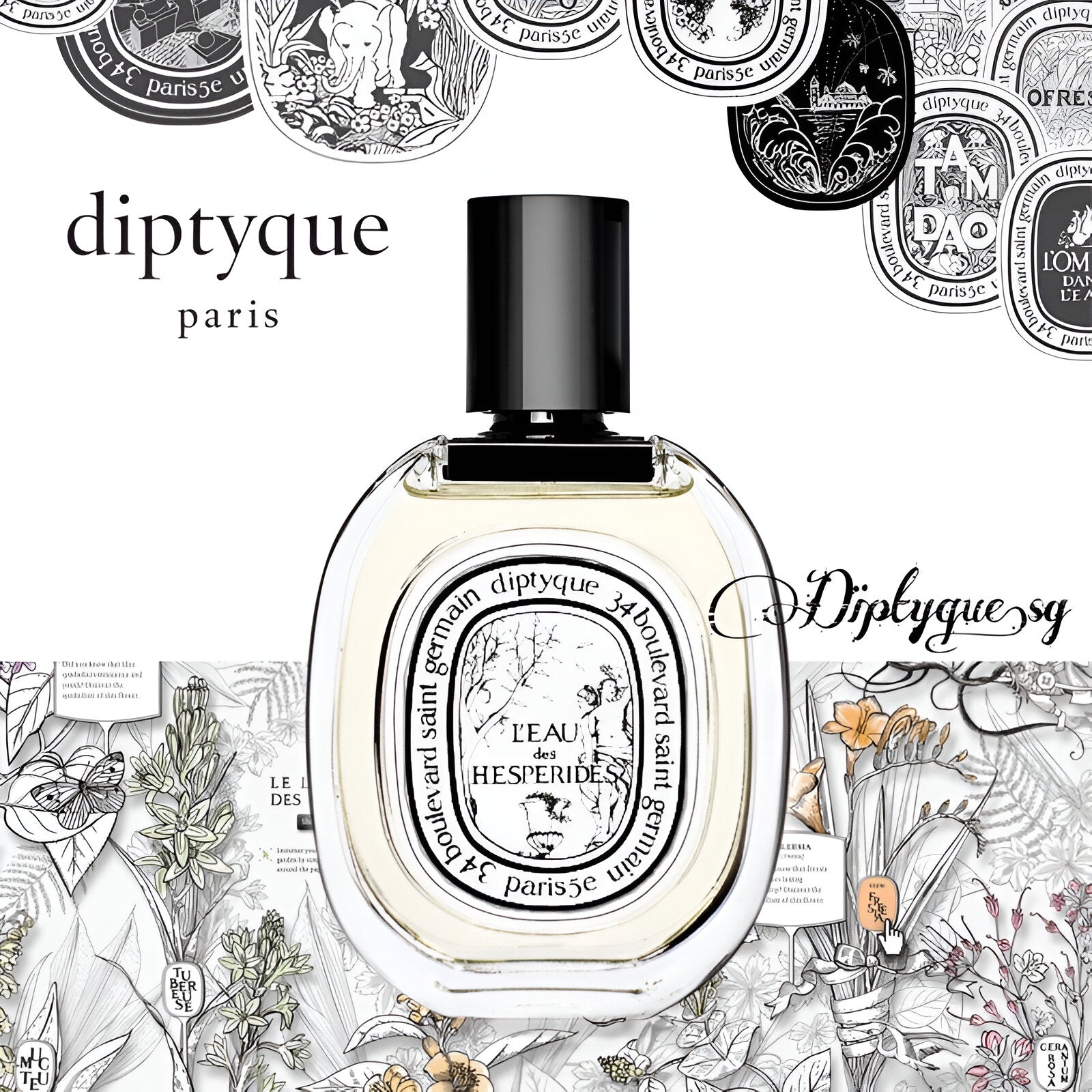 Diptyque L'Eau Des Hesperides EDT | My Perfume Shop