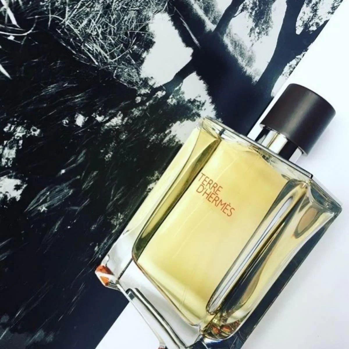 Hermes Terre D'Hermes Delux Replica EDT | My Perfume Shop