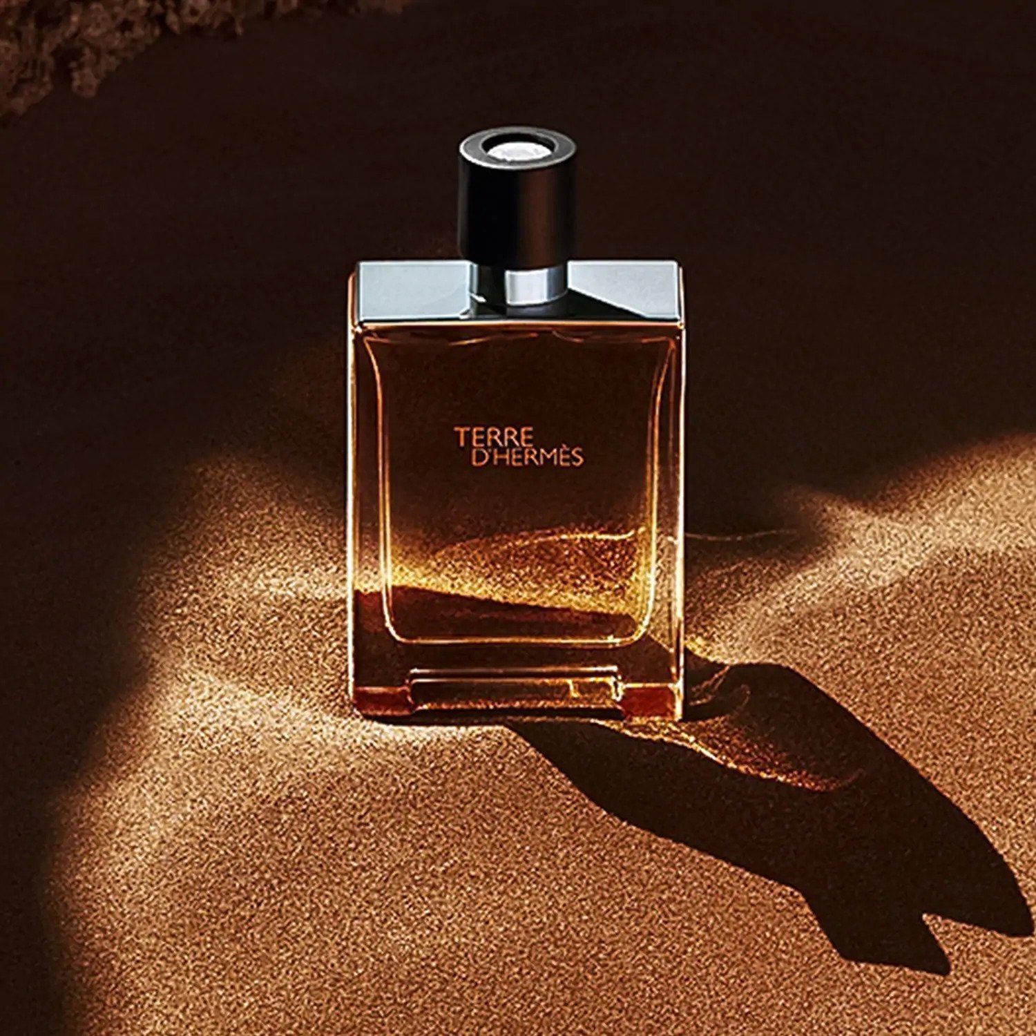 HERMÈS Terre d'HERMÈS Eau Intense Vetiver EDP | My Perfume Shop