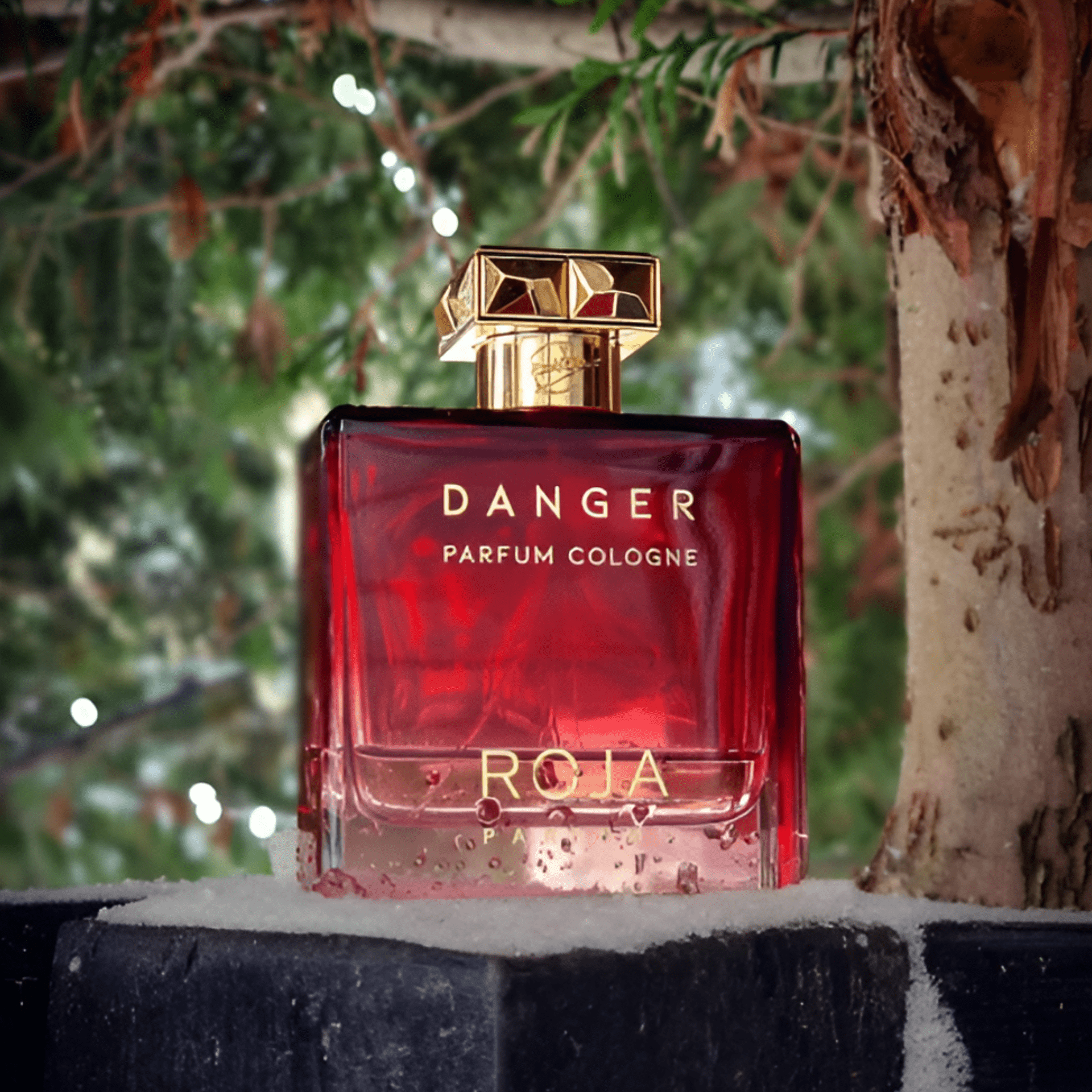 Roja Parfums Danger Pour Homme Parfum | My Perfume Shop