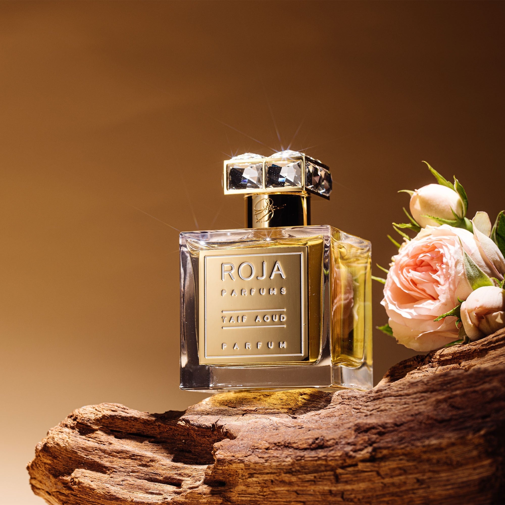 Roja Parfums Taif Aoud Parfum | My Perfume Shop